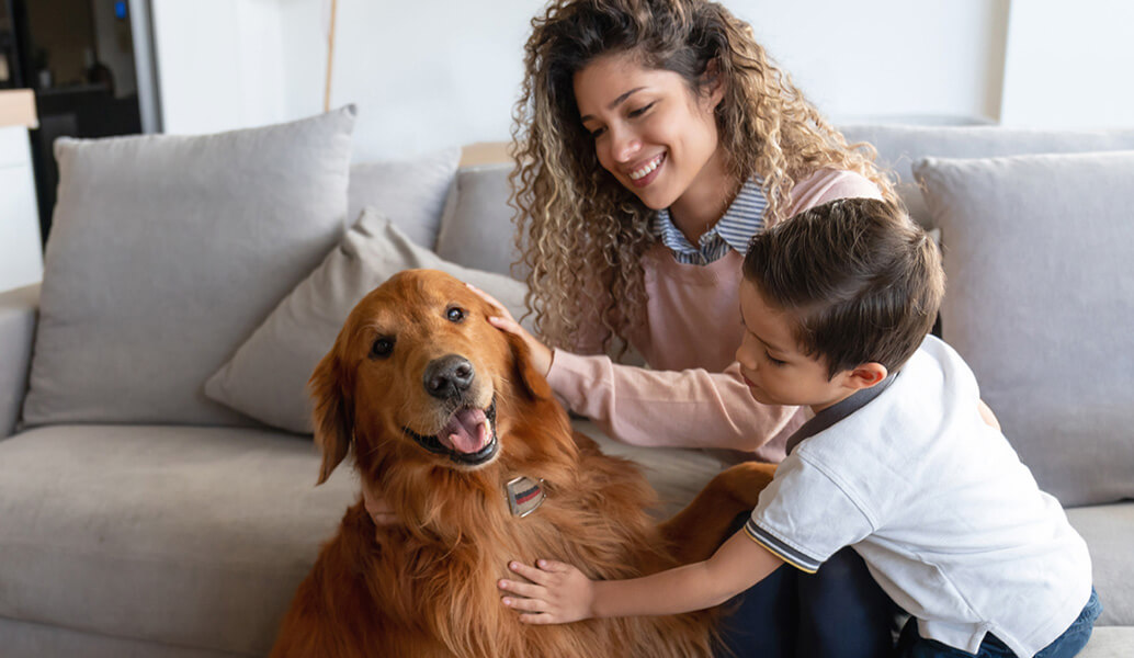 Mother and son are petting their pet dog in a cozy living room.